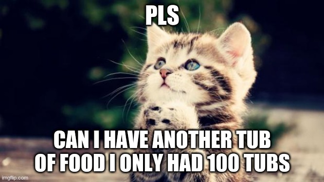 Kitten had 100 tubs of food and wants another | PLS; CAN I HAVE ANOTHER TUB OF FOOD I ONLY HAD 100 TUBS | image tagged in cute kitten,100 tubs of food,food | made w/ Imgflip meme maker