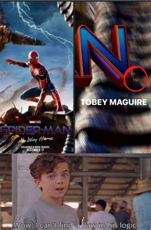 Flawless Logic | image tagged in spider-man,flawless | made w/ Imgflip meme maker