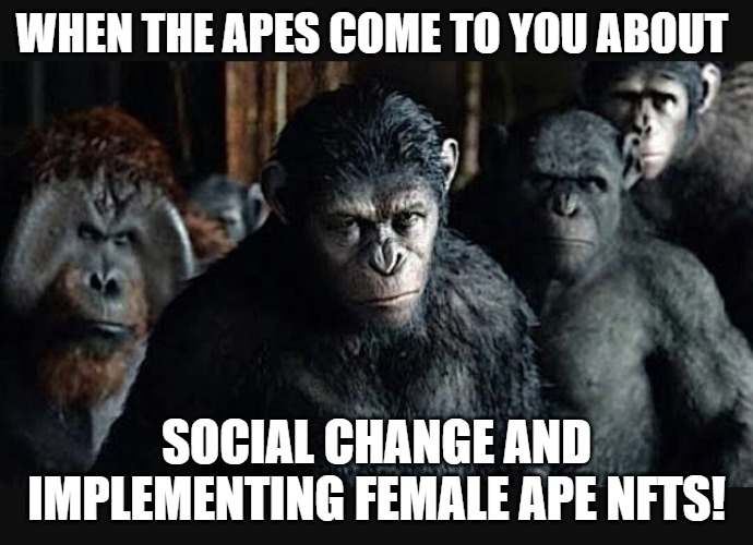 the bargain | WHEN THE APES COME TO YOU ABOUT; SOCIAL CHANGE AND IMPLEMENTING FEMALE APE NFTS! | image tagged in planet of the apes 2 | made w/ Imgflip meme maker
