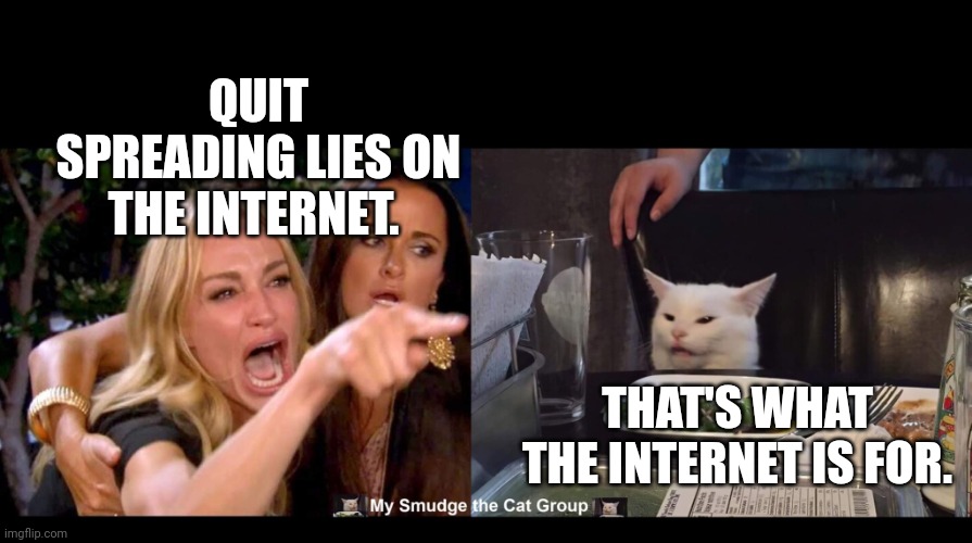 QUIT SPREADING LIES ON THE INTERNET. THAT'S WHAT THE INTERNET IS FOR. | image tagged in smudge the cat | made w/ Imgflip meme maker
