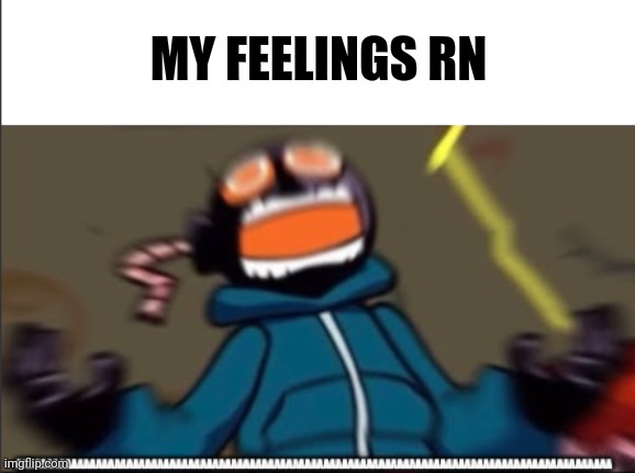 whitty scream | MY FEELINGS RN | image tagged in whitty scream | made w/ Imgflip meme maker