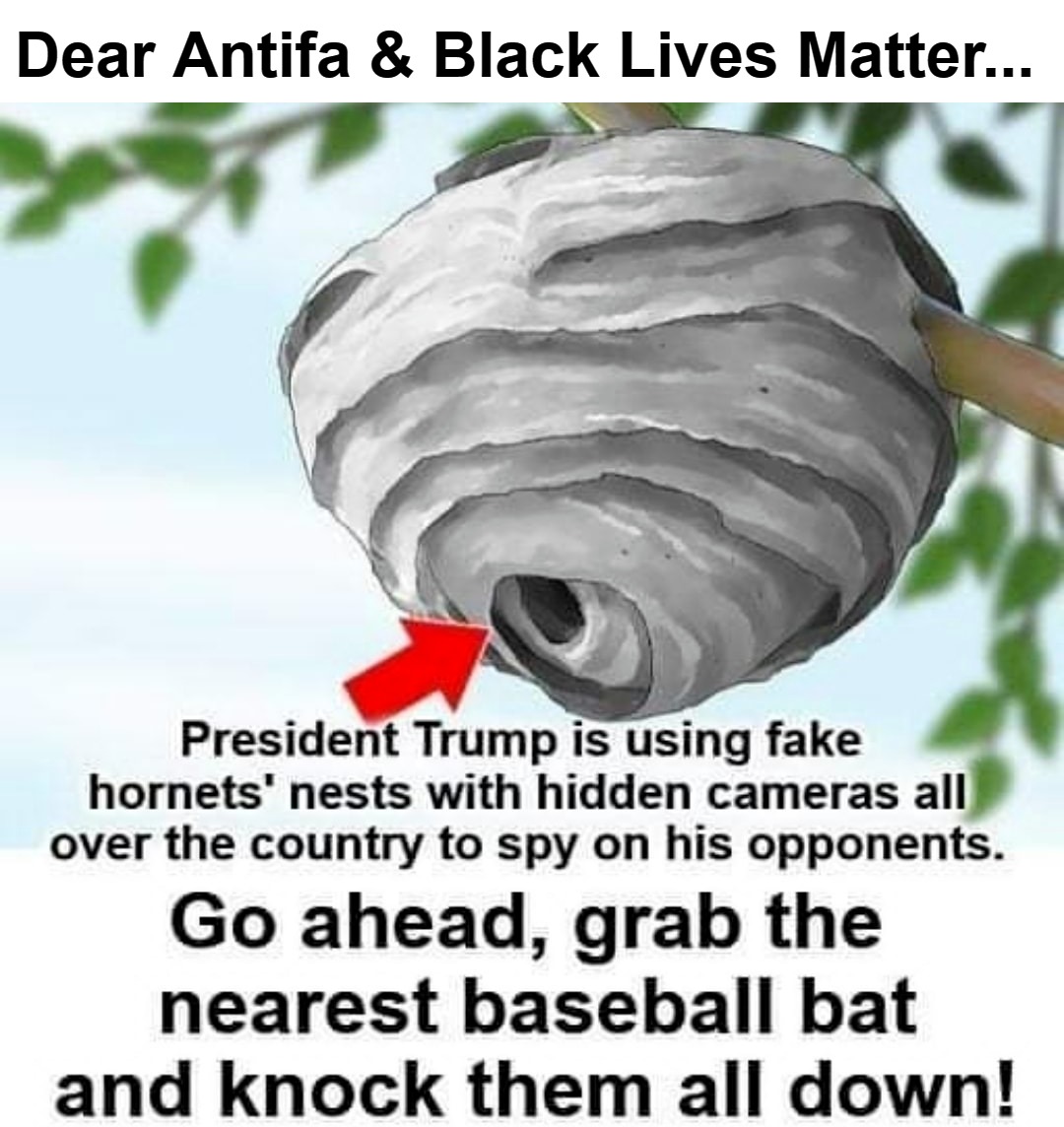 Dear Antifa & Black Lives Matter... | Dear Antifa & Black Lives Matter... | image tagged in dear antifa,black lives matter,fuck joe biden | made w/ Imgflip meme maker
