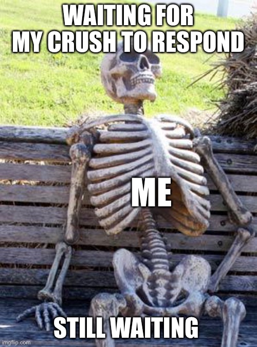 :( |  WAITING FOR MY CRUSH TO RESPOND; ME; STILL WAITING | image tagged in memes,waiting skeleton,why,why are you reading this,noooooooooooooooooooooooo,69 | made w/ Imgflip meme maker