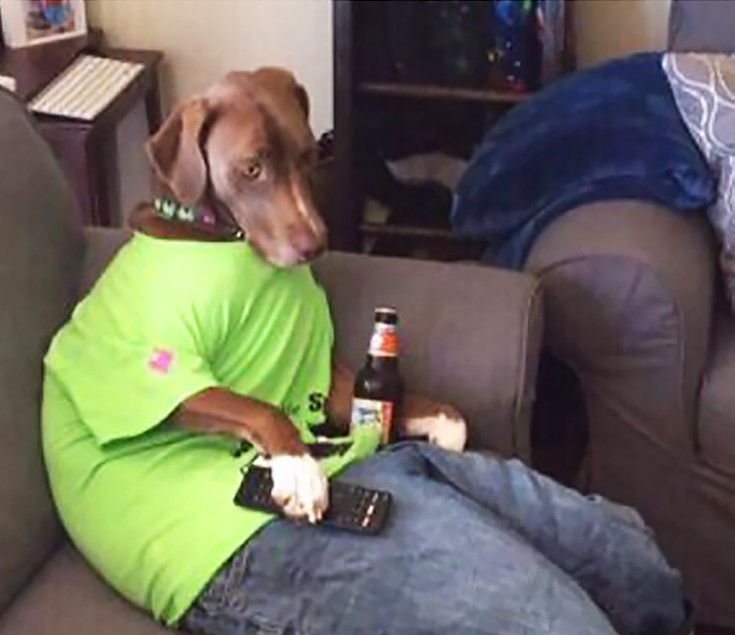 Dog Drinking Beer Blank Meme Template