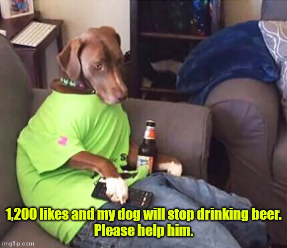 Help those who can't help themselves. | 1,200 likes and my dog will stop drinking beer.
Please help him. | image tagged in dog drinking beer,funny,beer | made w/ Imgflip meme maker