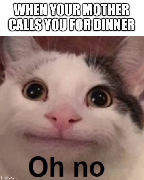 Just a Beluga meme | WHEN YOUR MOTHER CALLS YOU FOR DINNER | image tagged in oh no cat | made w/ Imgflip meme maker