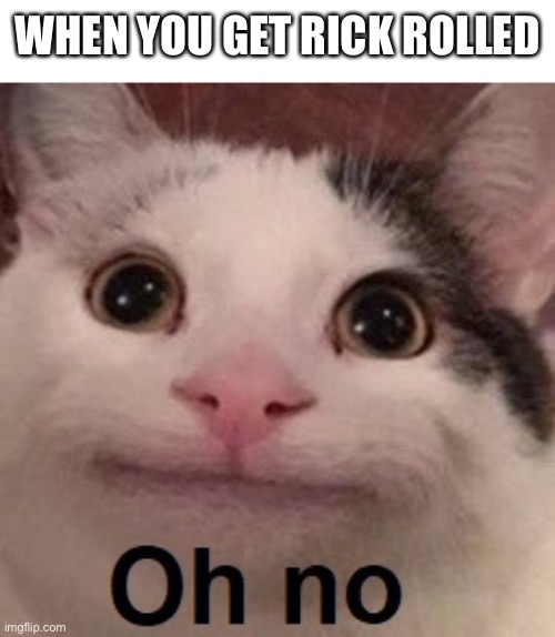 Oh no cat | WHEN YOU GET RICK ROLLED | image tagged in oh no cat | made w/ Imgflip meme maker