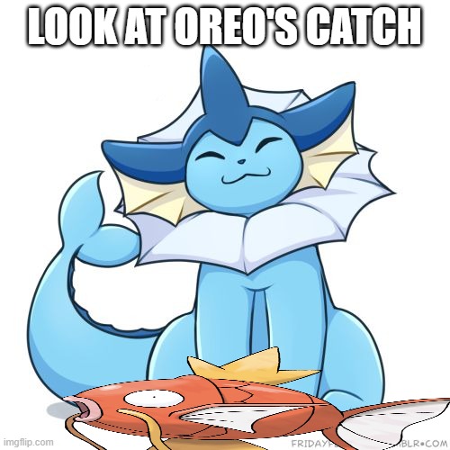 LOOK AT OREO'S CATCH | image tagged in vaporeon | made w/ Imgflip meme maker