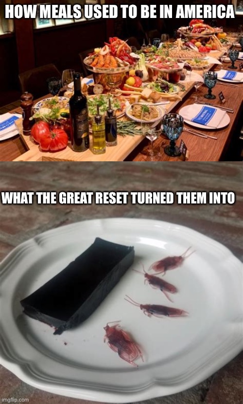 Thanks New World Order | HOW MEALS USED TO BE IN AMERICA; WHAT THE GREAT RESET TURNED THEM INTO | image tagged in great reset,build back better | made w/ Imgflip meme maker
