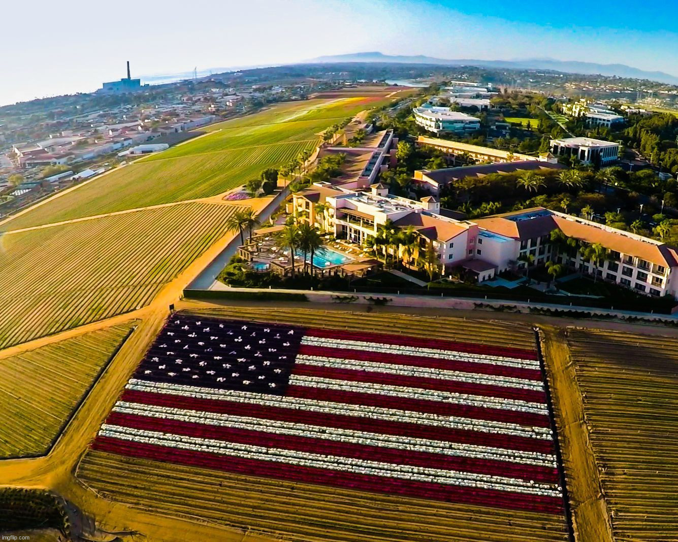Happy Veterans Day | image tagged in awesome | made w/ Imgflip meme maker