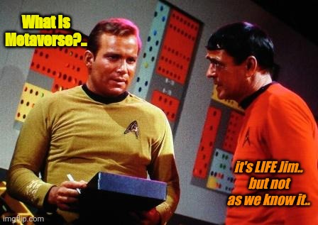 Metaverse | What is Metaverse?.. it's LIFE Jim..
but not as we know it.. | image tagged in metaverse,jus seidel | made w/ Imgflip meme maker