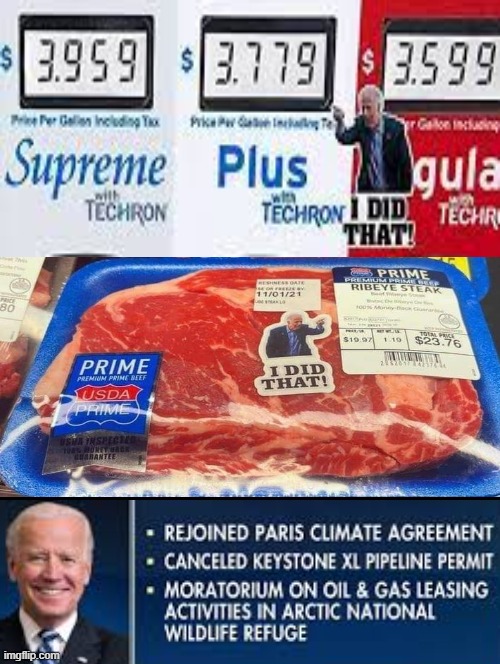I did that! | image tagged in stupid liberals | made w/ Imgflip meme maker