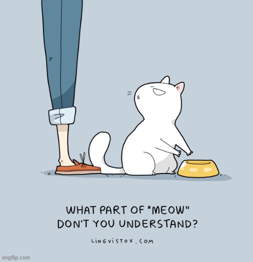 A Cat's Way Of Thinking | image tagged in memes,comics,cats,meow,what do you mean,misunderstanding | made w/ Imgflip meme maker