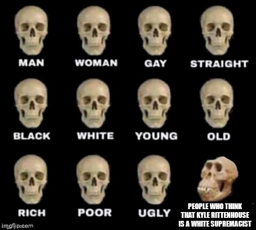 idiot skull | PEOPLE WHO THINK THAT KYLE RITTENHOUSE IS A WHITE SUPREMACIST | image tagged in idiot skull | made w/ Imgflip meme maker