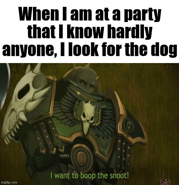 image tagged in dogs | made w/ Imgflip meme maker