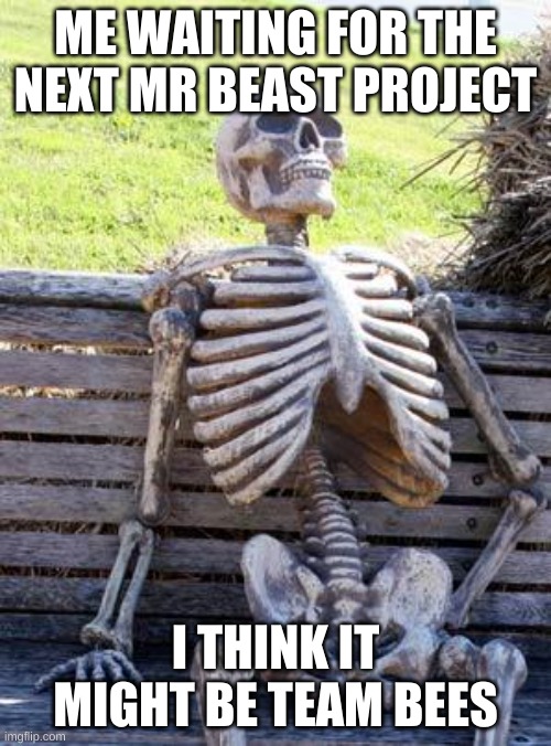 Waiting Skeleton | ME WAITING FOR THE NEXT MR BEAST PROJECT; I THINK IT MIGHT BE TEAM BEES | image tagged in memes,waiting skeleton | made w/ Imgflip meme maker