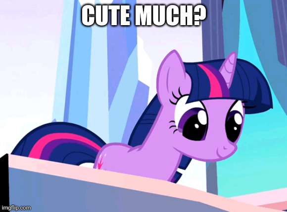 CUTE MUCH? | made w/ Imgflip meme maker