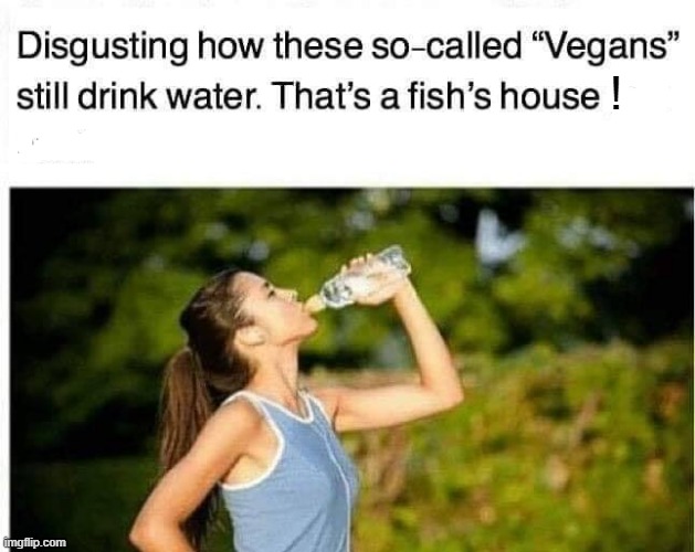 Fish House | ! | image tagged in vegans do everthing better even fart | made w/ Imgflip meme maker