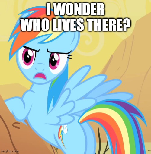 I WONDER WHO LIVES THERE? | made w/ Imgflip meme maker