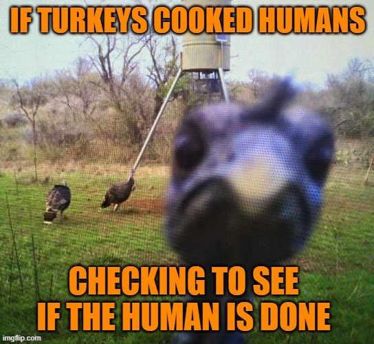 Set Oven To 350 | image tagged in memes,funny,funny memes,thanksgiving | made w/ Imgflip meme maker