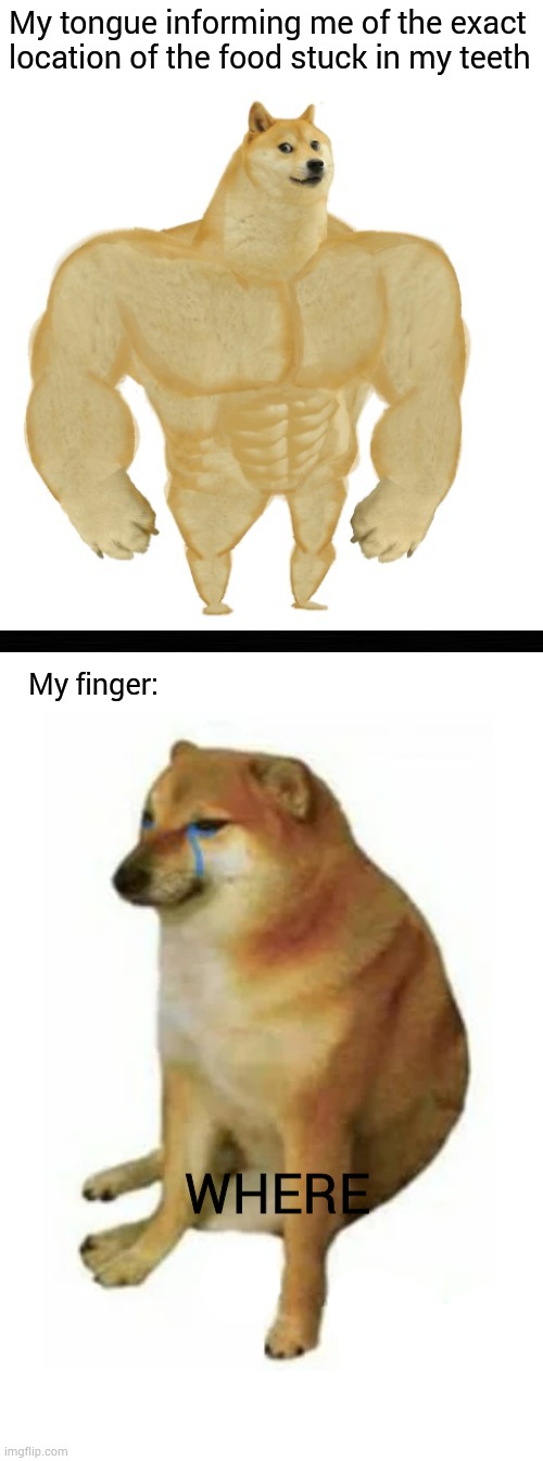 Don't tell me that this hasn't happened to you because I won't believe you :) | My tongue informing me of the exact location of the food stuck in my teeth; My finger:; WHERE | image tagged in buff doge,memes,buff doge vs cheems,bruhh,why are you reading this | made w/ Imgflip meme maker