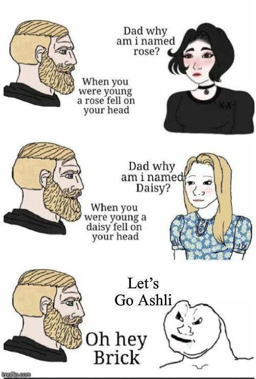 oh hey brick | Let’s Go Ashli | image tagged in oh hey brick,libtards suck,politics,oh wow are you actually reading these tags | made w/ Imgflip meme maker