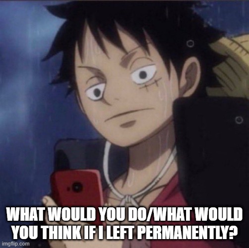 all of us are gonna leave this site someday, its only a matter of time | WHAT WOULD YOU DO/WHAT WOULD YOU THINK IF I LEFT PERMANENTLY? | image tagged in luffy phone | made w/ Imgflip meme maker