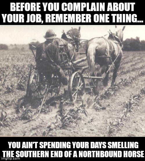 Jobs from previous centuries sucked... | BEFORE YOU COMPLAIN ABOUT YOUR JOB, REMEMBER ONE THING... YOU AIN'T SPENDING YOUR DAYS SMELLING THE SOUTHERN END OF A NORTHBOUND HORSE | image tagged in horses,job,meanwhile on imgflip | made w/ Imgflip meme maker