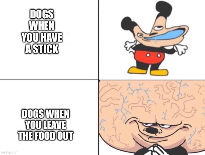 Big Brain Mickey | DOGS WHEN YOU HAVE A STICK; DOGS WHEN YOU LEAVE THE FOOD OUT | image tagged in big brain mickey | made w/ Imgflip meme maker