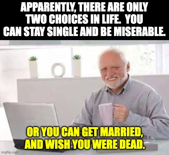 2 choices | APPARENTLY, THERE ARE ONLY TWO CHOICES IN LIFE.  YOU CAN STAY SINGLE AND BE MISERABLE. OR YOU CAN GET MARRIED, AND WISH YOU WERE DEAD. | image tagged in harold | made w/ Imgflip meme maker