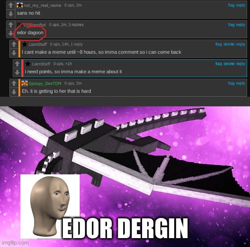 Edor Dergin | EDOR DERGIN | image tagged in minecraft,ender,dragon,enderdragon,typo,mememan | made w/ Imgflip meme maker