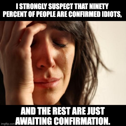 Confirmed | I STRONGLY SUSPECT THAT NINETY PERCENT OF PEOPLE ARE CONFIRMED IDIOTS, AND THE REST ARE JUST AWAITING CONFIRMATION. | image tagged in memes,first world problems | made w/ Imgflip meme maker