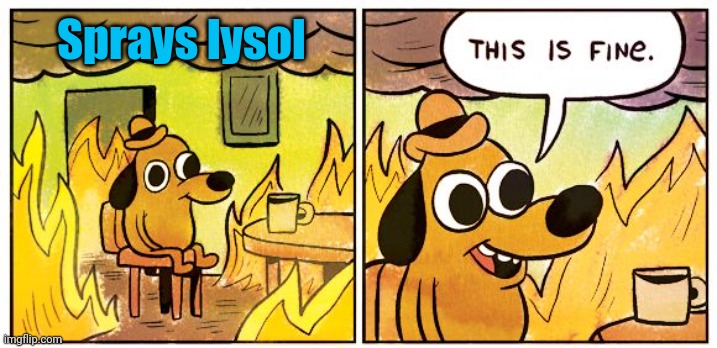 This Is Fine Meme | Sprays lysol | image tagged in memes,this is fine | made w/ Imgflip meme maker