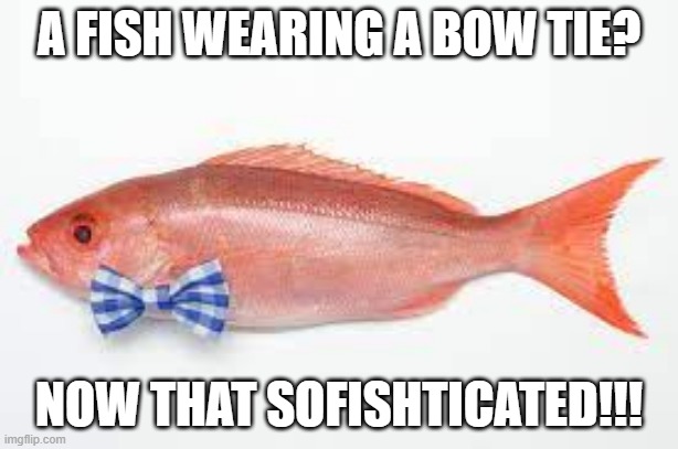 Fancy | A FISH WEARING A BOW TIE? NOW THAT SOFISHTICATED!!! | image tagged in dad joke | made w/ Imgflip meme maker