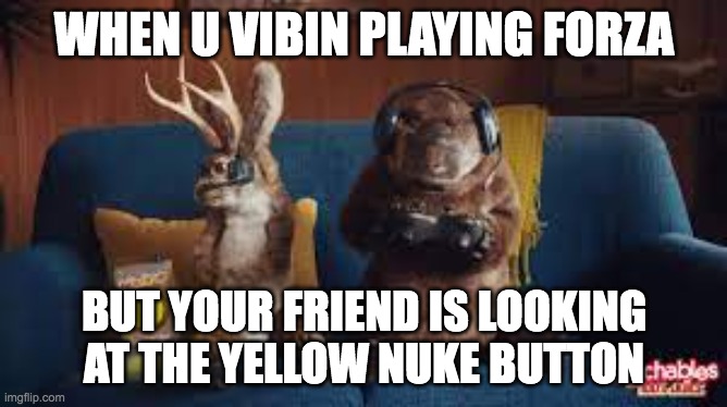 this meme makes no sense but here, take | WHEN U VIBIN PLAYING FORZA; BUT YOUR FRIEND IS LOOKING AT THE YELLOW NUKE BUTTON | image tagged in chonk | made w/ Imgflip meme maker