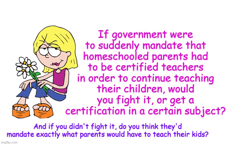 Based Lizzie | If government were to suddenly mandate that homeschooled parents had to be certified teachers in order to continue teaching their children, would you fight it, or get a certification in a certain subject? And if you didn't fight it, do you think they'd mandate exactly what parents would have to teach their kids? | image tagged in based lizzie | made w/ Imgflip meme maker