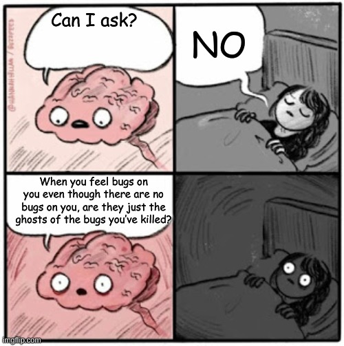 BUGS | NO; Can I ask? When you feel bugs on you even though there are no bugs on you, are they just the ghosts of the bugs you’ve killed? | image tagged in brain before sleep,shower thoughts,question,funny memes,funny,memes | made w/ Imgflip meme maker