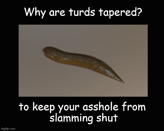 Why are turds tapered? | Why are turds tapered? to keep your asshole from 
slamming shut | image tagged in turd humor | made w/ Imgflip meme maker