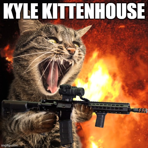 Good kitty | KYLE KITTENHOUSE | image tagged in kyle rittenhouse,memes,cat,rifle | made w/ Imgflip meme maker