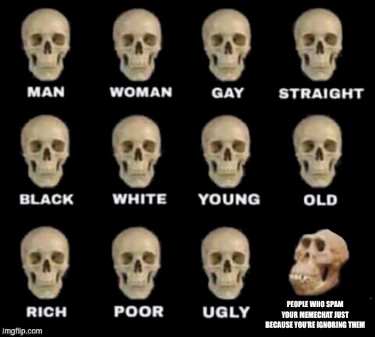 idiot skull | PEOPLE WHO SPAM YOUR MEMECHAT JUST BECAUSE YOU’RE IGNORING THEM | image tagged in idiot skull | made w/ Imgflip meme maker