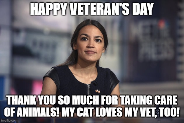A.O.C. Hope | HAPPY VETERAN'S DAY; THANK YOU SO MUCH FOR TAKING CARE OF ANIMALS! MY CAT LOVES MY VET, TOO! | image tagged in a o c hope | made w/ Imgflip meme maker