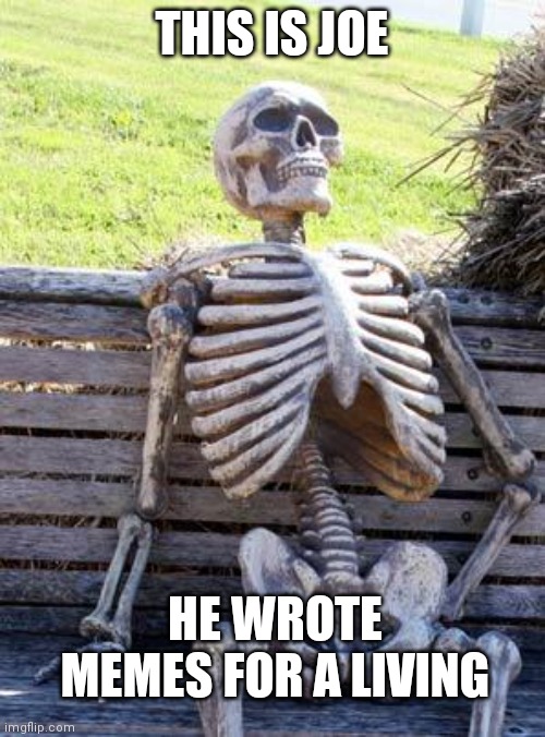Can you make a living out of meme | THIS IS JOE; HE WROTE MEMES FOR A LIVING | image tagged in memes,waiting skeleton | made w/ Imgflip meme maker