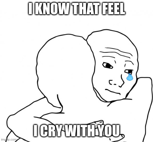 I Know That Feel Bro Meme | I KNOW THAT FEEL I CRY WITH YOU | image tagged in memes,i know that feel bro | made w/ Imgflip meme maker