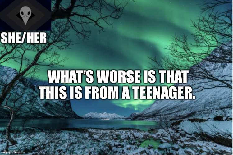 Northern Lights Termcollector Template | WHAT’S WORSE IS THAT THIS IS FROM A TEENAGER. | image tagged in northern lights termcollector template | made w/ Imgflip meme maker