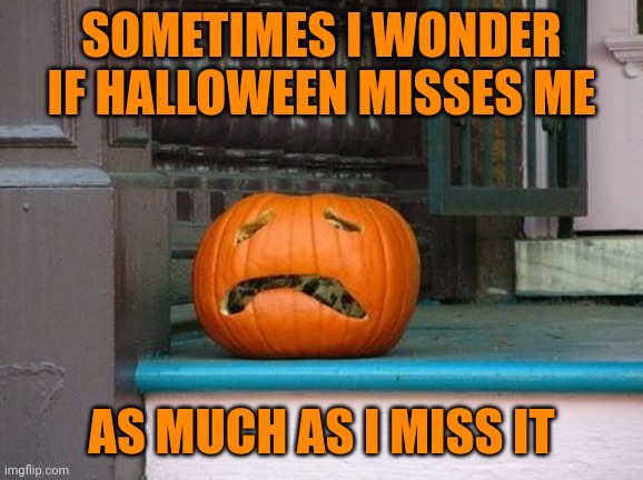JUST 354 DAYS | SOMETIMES I WONDER IF HALLOWEEN MISSES ME; AS MUCH AS I MISS IT | image tagged in halloween,pumpkin,jack-o-lanterns | made w/ Imgflip meme maker