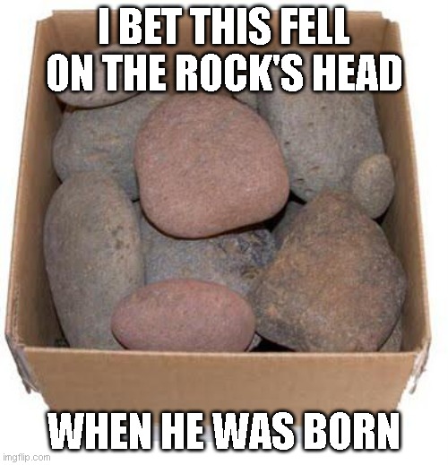 R O C K | I BET THIS FELL ON THE ROCK'S HEAD; WHEN HE WAS BORN | image tagged in box of rocks | made w/ Imgflip meme maker