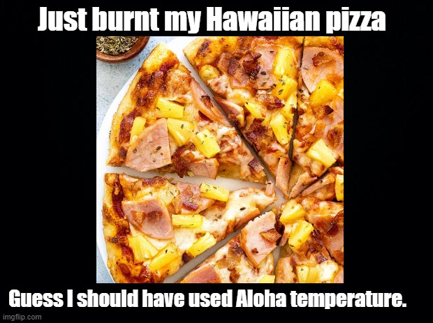 Aloha Temperature | Just burnt my Hawaiian pizza; Guess I should have used Aloha temperature. | image tagged in pizza,pun,hawaiian | made w/ Imgflip meme maker