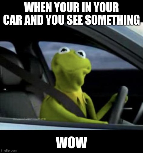 When your in your car and you see something | WHEN YOUR IN YOUR CAR AND YOU SEE SOMETHING; WOW | image tagged in kermit driving,kermit,memes,fun | made w/ Imgflip meme maker