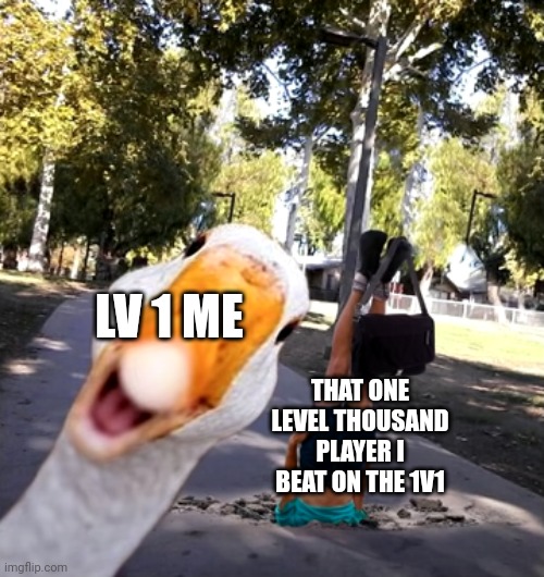 Lv 1 me | LV 1 ME; THAT ONE LEVEL THOUSAND PLAYER I BEAT ON THE 1V1 | image tagged in memes | made w/ Imgflip meme maker