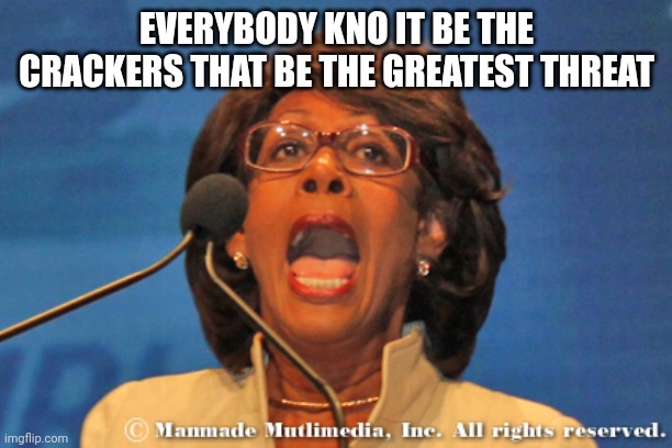 Maxine waters | EVERYBODY KNO IT BE THE CRACKERS THAT BE THE GREATEST THREAT | image tagged in maxine waters | made w/ Imgflip meme maker